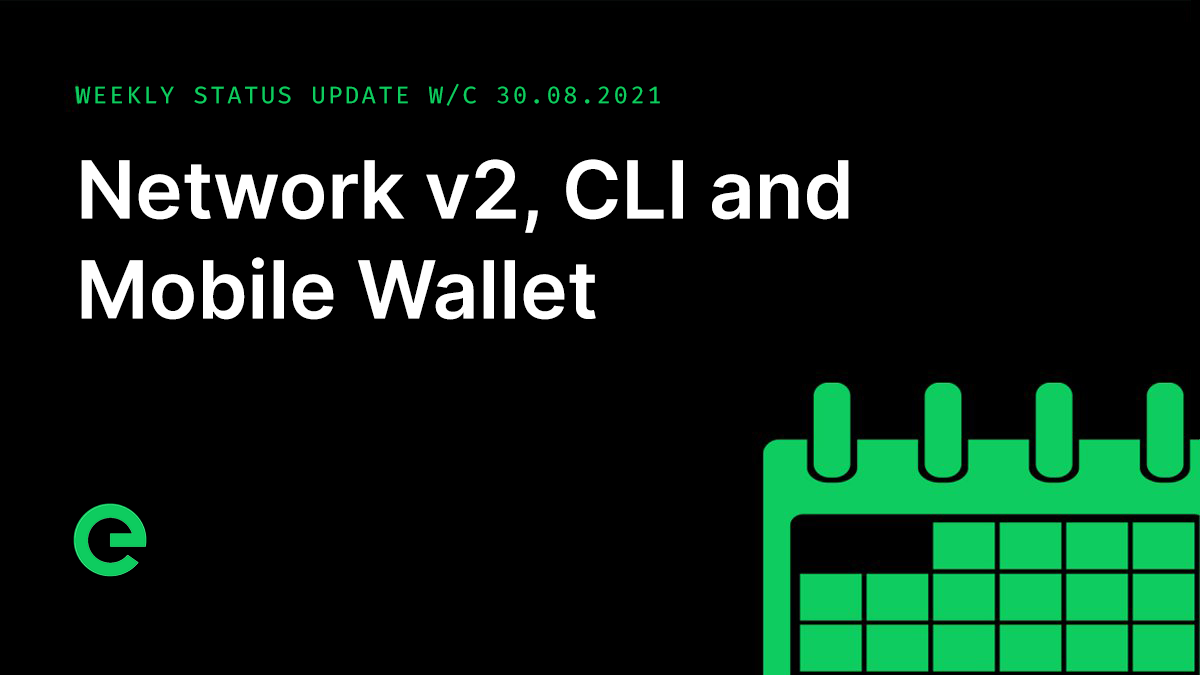 Weekly Update: W/C 30th August, 2021