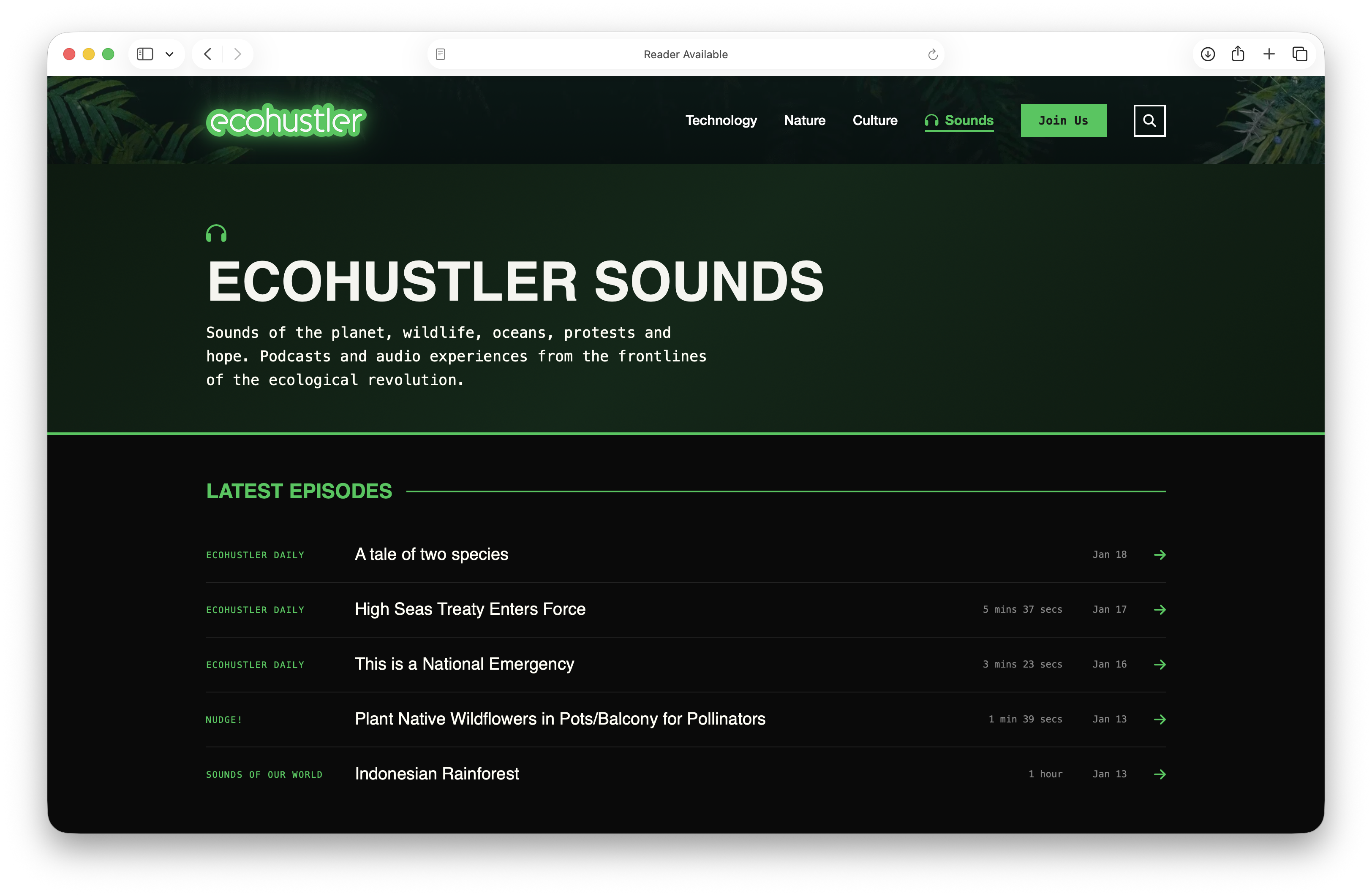 Ecohustler screenshot 2